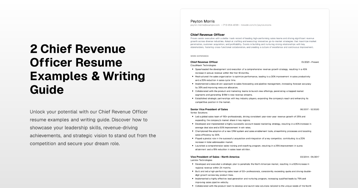 2 Chief Revenue Officer Resume Examples & Writing Guide