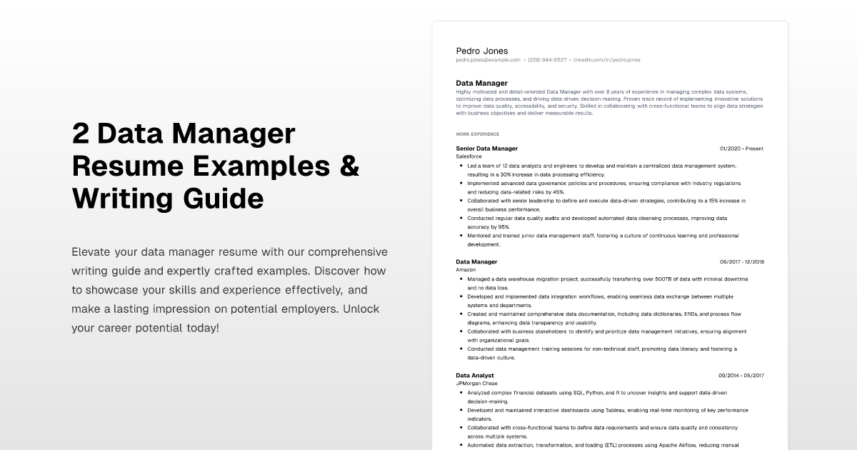 2 Data Manager Resume Examples & Writing Guide