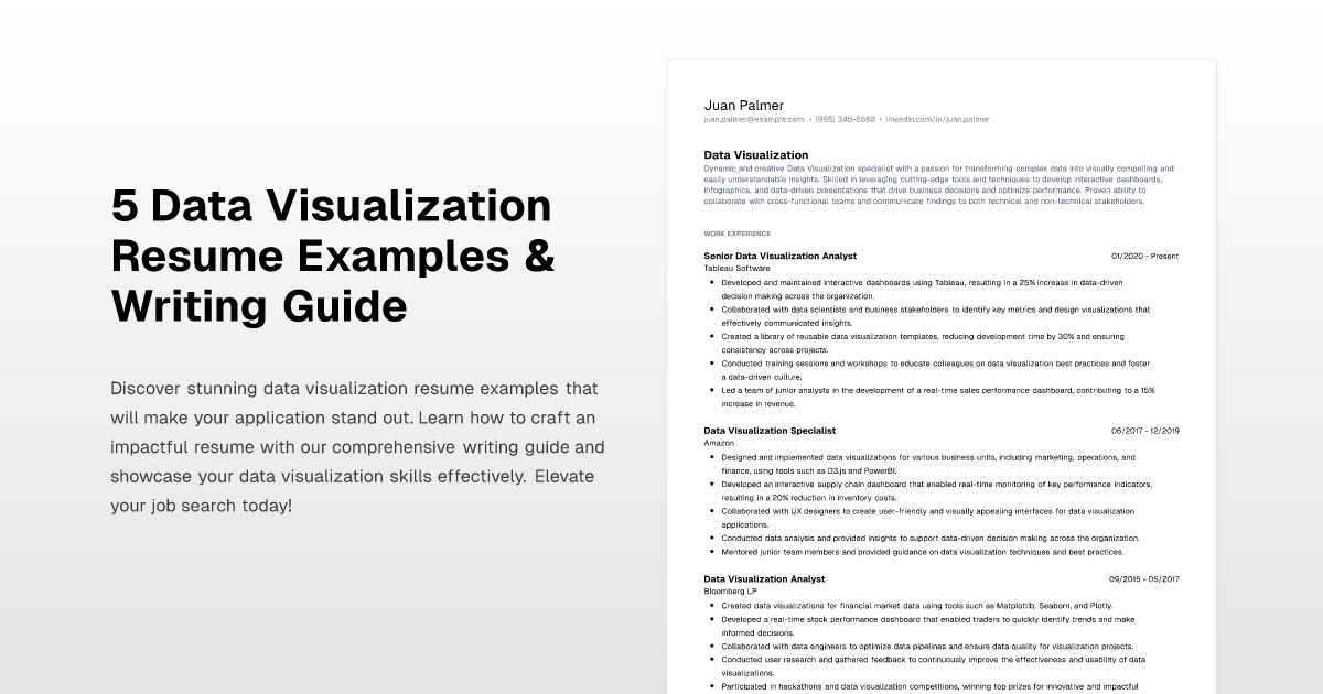 5 Data Visualization Resume Examples & Writing Guide