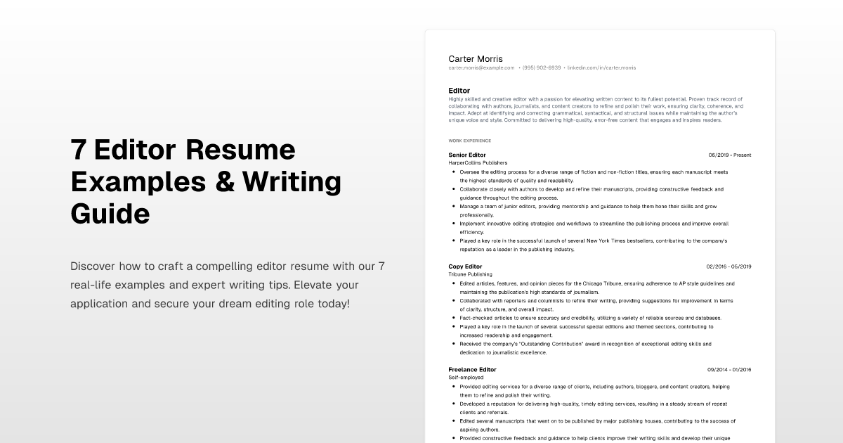 7 Editor Resume Examples And Writing Guide 8038